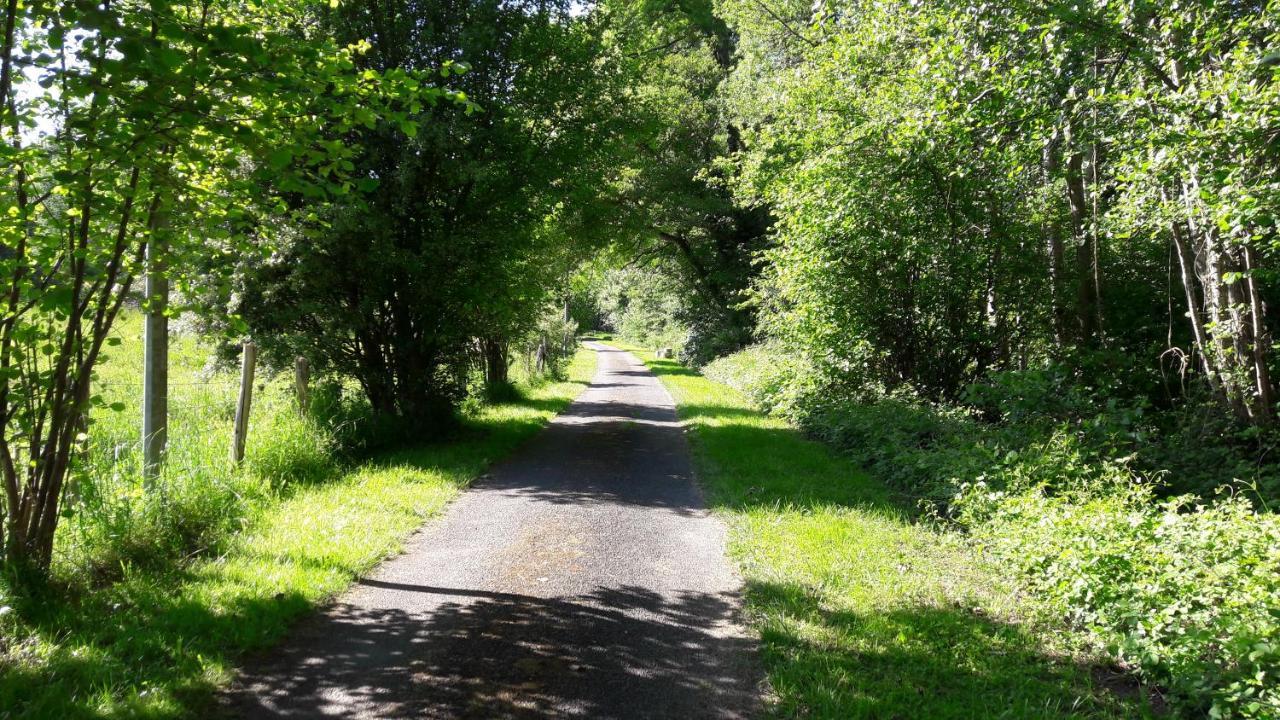 Gite De La Pierre Bleue, Maison A La Campagne Verdon  Exteriör bild