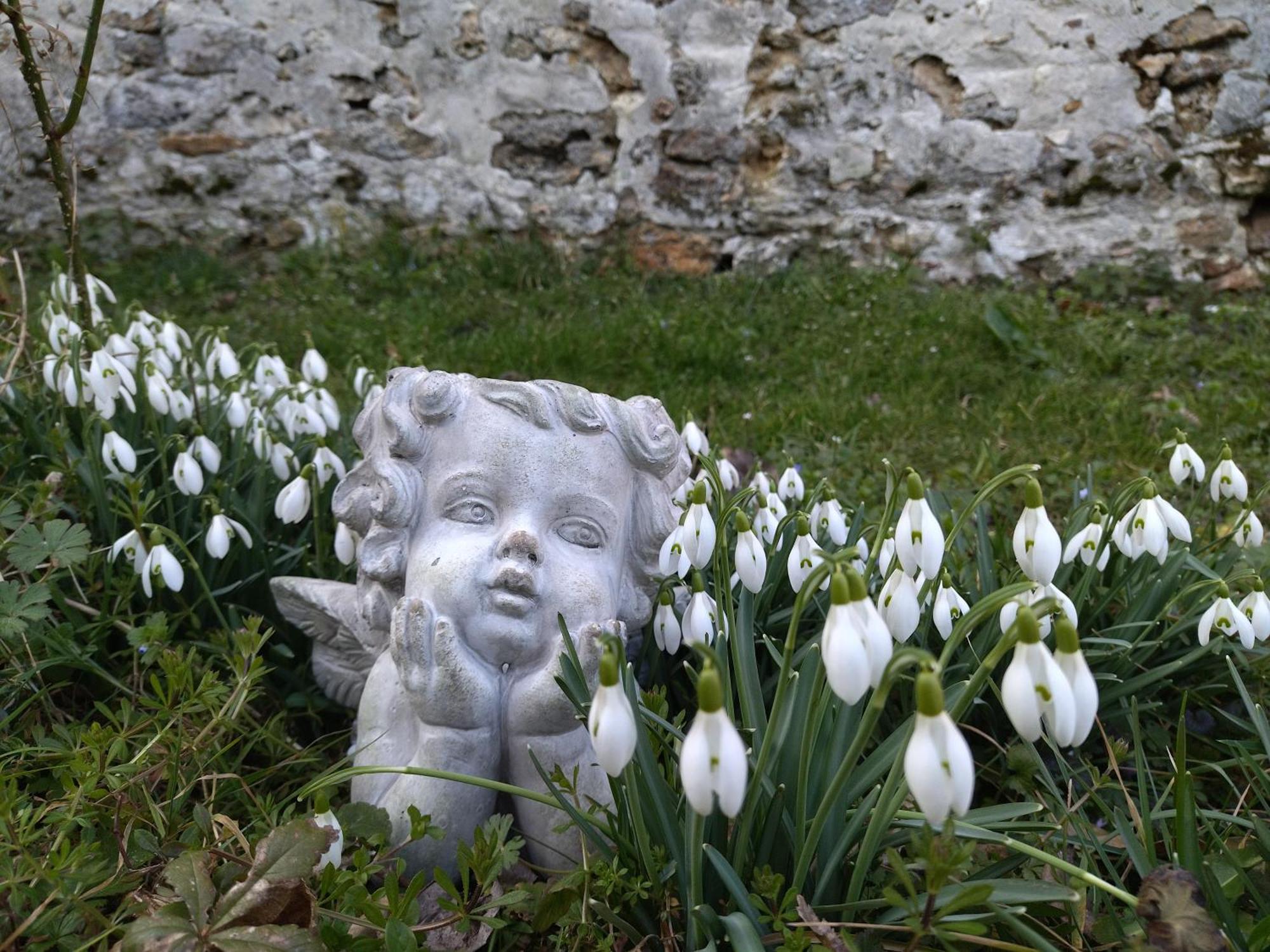 Gite De La Pierre Bleue, Maison A La Campagne Verdon  Exteriör bild